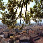 Things to do in Lucca