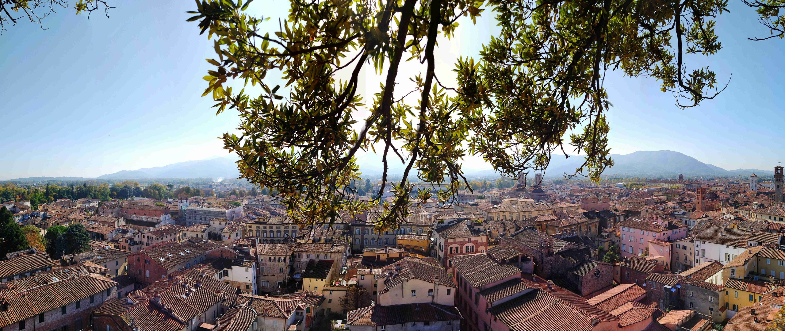 Things to do in Lucca