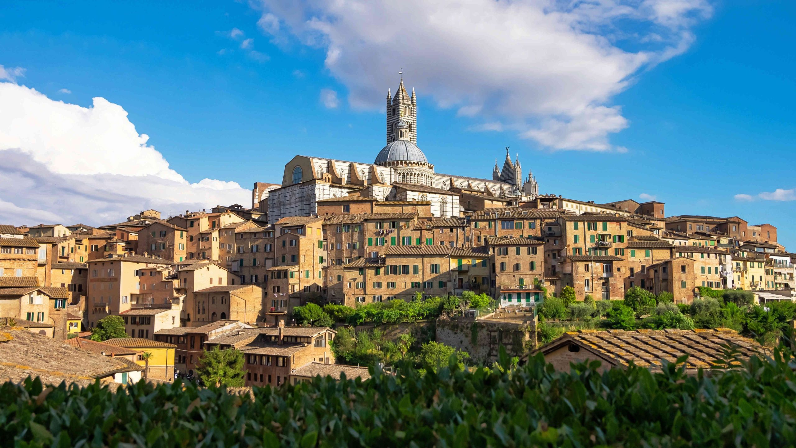 Things to do in Siena